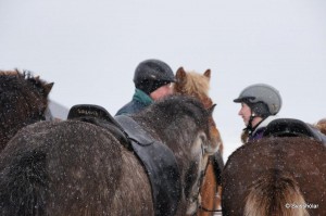 Kaldbakur Tour 2015 (23)